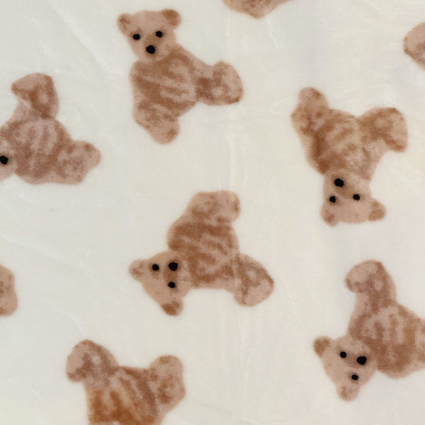 Teddy Bear Blanket (Milk Silk Fabric)