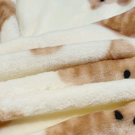 Teddy Bear Blanket (Milk Silk Fabric)